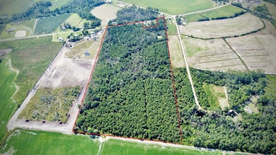 00 Elizabeth Church Rd, Hazlehurst, GA 31539 - photo 6