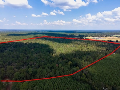 TBD County Road 2798, Shelbyville, TX 75973 - photo 4