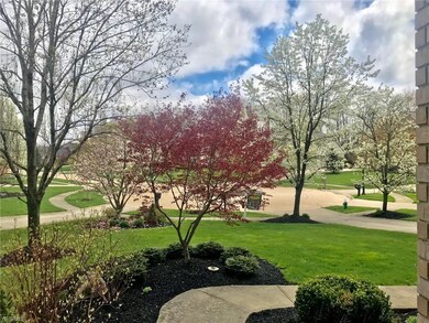 1200 W Parkway Blvd, Aurora, OH 44202 - photo 2