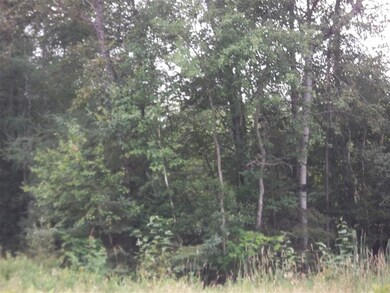 rte 3 Main St St, Colebrook, NH 03576 - photo 3