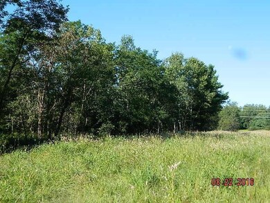 0 W Main St unit 1500008, Webster, WI 54893 - photo 3