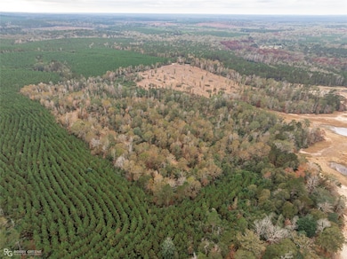 452 Kepler Dam Rd, Jamestown, LA 71016 - photo 2