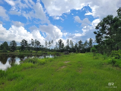 39449 State Highway 59 S, Bay Minette, AL 36507 - photo 7