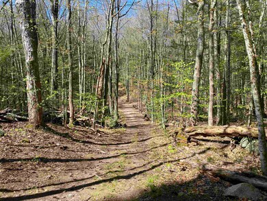 Map 214 Lot 99 Ashley Rd, Antrim, NH 03440 - photo 5
