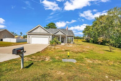 6384 Highway 378, Conway, SC 29527 - photo 2