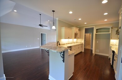 Kitchen and great room