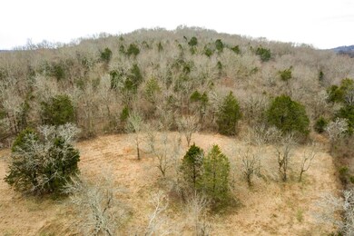 0 Vantrease Rd unit 1896477, Brush Creek, TN 38547 - photo 7