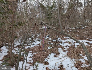 13804 Long Branch Rd, Woodford, VA 22580 - photo 5