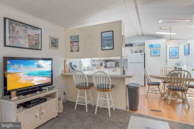 35702 Elk Camp Rd unit 20755, Rehoboth Beach, DE 19971 - photo 4