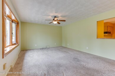 5308 Sunrose Ave, Lansing, MI 48911 - photo 6