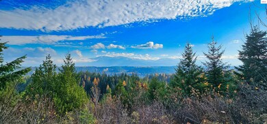 NNA 35 Acres Otter Ln, Naples, ID 83847 - photo 5