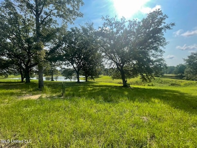 Lot 23 Gracies Way, Lucedale, MS 39452 - photo 2