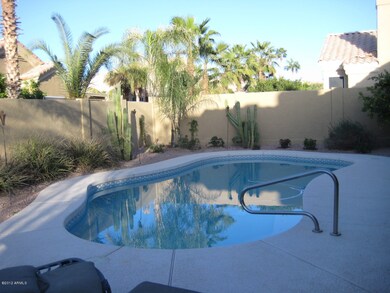 Backyard Pool