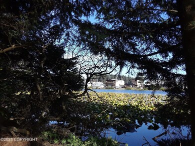 1716 Larch View of Lake