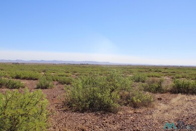 0 Saguaro Rd SE unit 20223081, Deming, NM 88030 - photo 6