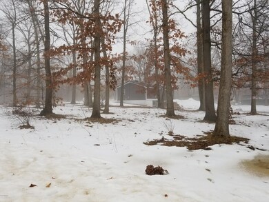 3990 2nd St, Wayland, MI 49348 - photo 6