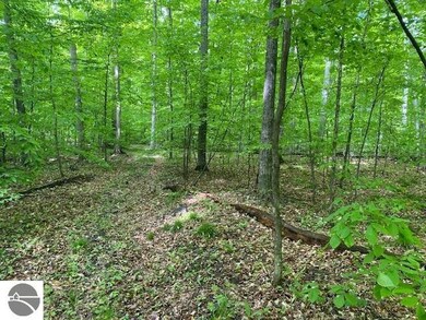 0 S Linden Ct unit 10, Cedar, MI 49621 - photo 7