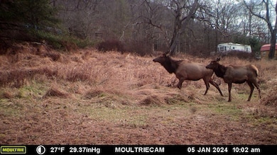 Lot E Flanders Subdivision, Driftwood, PA 15832 - photo 3