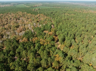 000 County Rd 81, Tinsman, AR 71631 - photo 5