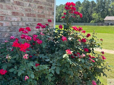 36 Silver Hill Dr, Texarkana, TX 75503 - photo 5