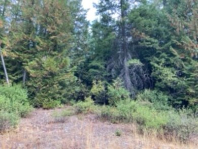 Nka. Leslie Creek Rd, Chewelah, WA 99109 - photo 4