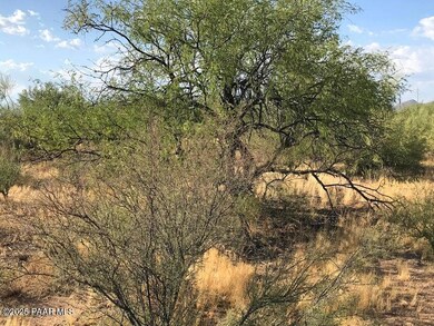 29670 State Highway 89, Congress, AZ 85332 - photo 7