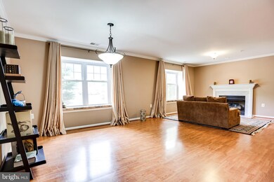 4550 Chaucer Way unit 105, Owings Mills, MD 21117 - photo 3