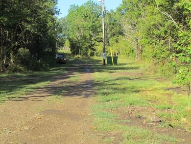 11302 Long Tate Rd, Elkins, AR 72727 - photo 5