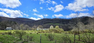 38162 Seneca Trail, Slatyfork, WV 26291 - photo 7