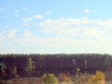gearhart standing pine