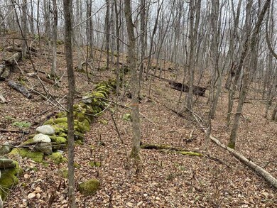 0 Read Farm Ln unit 4839074, Dorset, VT 05253 - photo 6