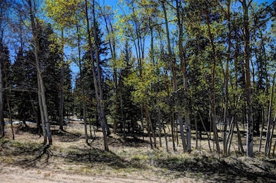 0 Kiowa St unit S1044835, Como, CO 80432 - photo 2