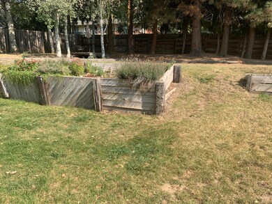 Backyard 2