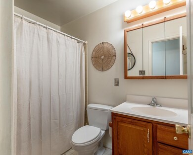 1211 Holmes Ave, Charlottesville, VA 22901 - photo 4