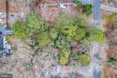 C19 Brach St, Georgetown, DE 19947 - photo 2