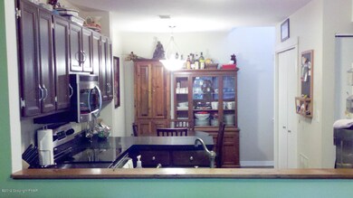 203 Falls Cir, Bushkill, PA 18324 - photo 4