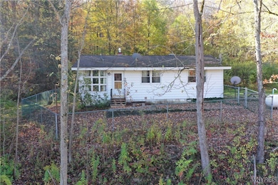 8905 W Bucktooth Run Rd, Little Valley, NY 14755 - photo 4