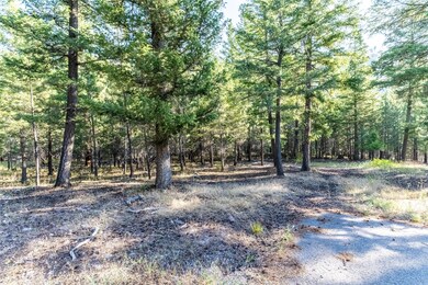 14297 Caddisfly Ct, Clinton, MT 59825 - photo 6