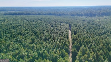 TRACTS 10 AND 1 Penny Morris Rd, Baxley, GA 31513 - photo 3