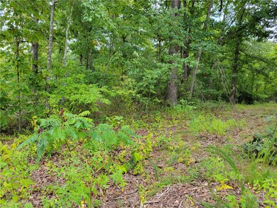 0 Ripley Ln, Bella Vista, AR 72715 - photo 7