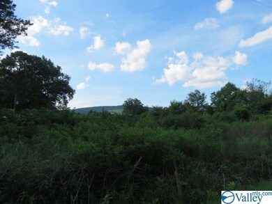 0 Cave Spring Rd unit 1147476, Owens Cross Roads, AL 35763 - photo 5