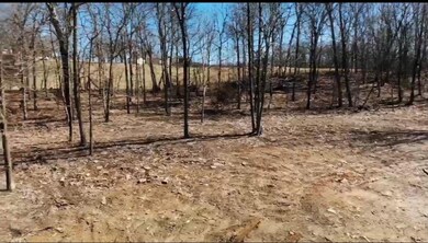 12760 Patton Rd, West Fork, AR 72774 - photo 6
