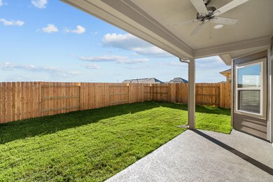 Backyard - Representational Photo