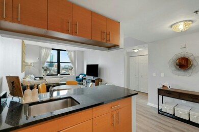 102 Christopher Columbus Dr unit 803, Jersey City, NJ 07302 - photo 4