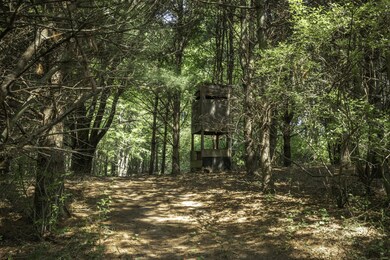 Mason 79 Acres-20