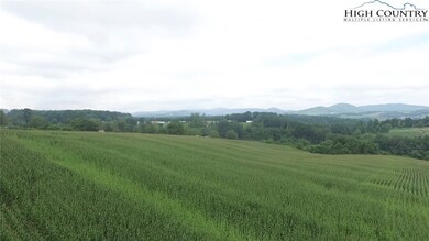 Tract 5 Millards Way, Sparta, NC 28675 - photo 7