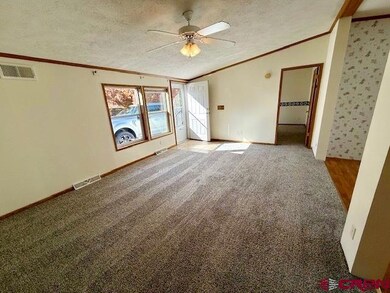 1144 N Colorado Cir, Gunnison, CO 81230 - photo 3