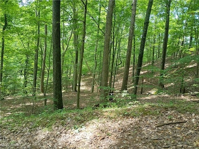 0 R 9 unit 5139092, Arnoldsburg, WV 25234 - photo 3