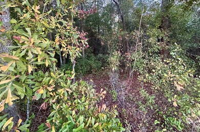 11,12,13 Paradise Cir, Donalsonville, GA 39845 - photo 3