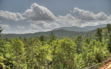 Additional View